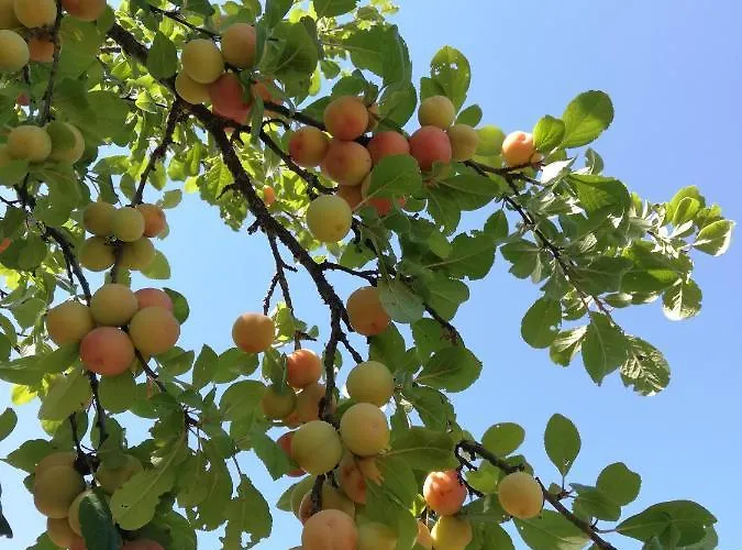 Casa Bellocchio 3* Castel Giorgio